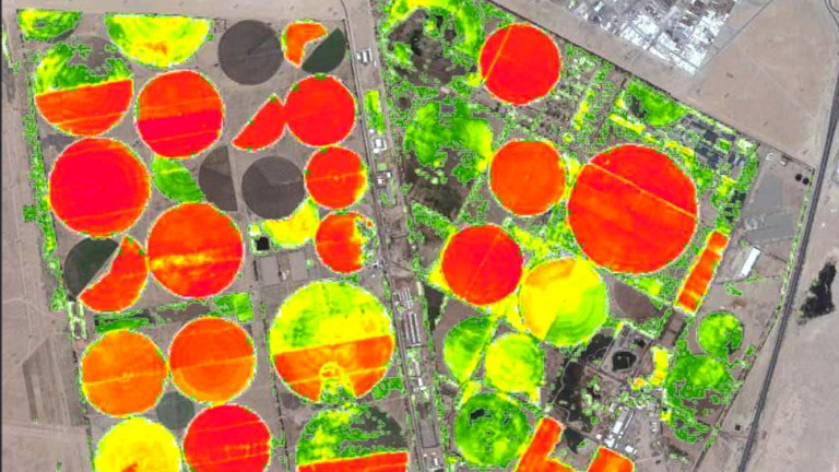 sentinel-2a-agriculture-mapping-kuwait